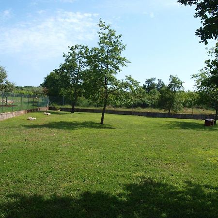 Holiday Home Rosa Gedici Экстерьер фото